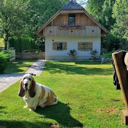Vila Jana Radovljica Ngoại thất bức ảnh